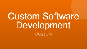 Custom Software Development logo